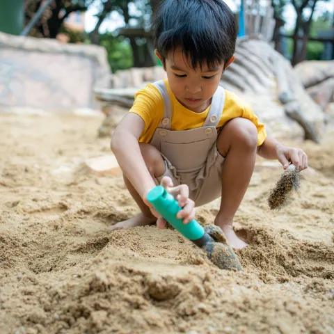 shutterstock_2486556317_leisure-sand.jpg